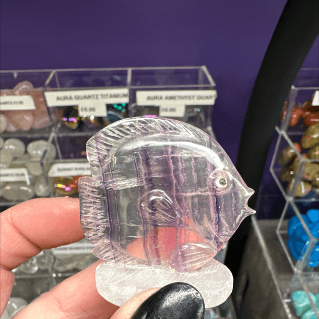 Fluorite Fish