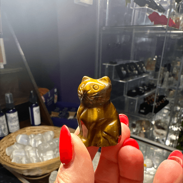 Tiger Eye Cat