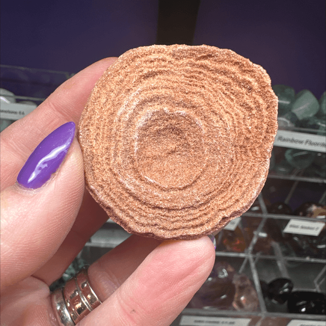 Stromatolite 