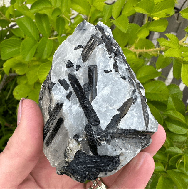 Tourmalated Quartz 