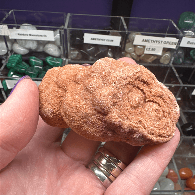 Stromatolite 