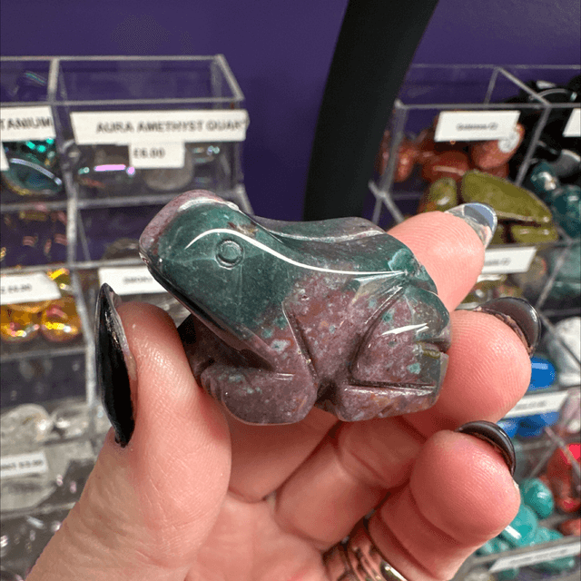 Bloodstone Frog 