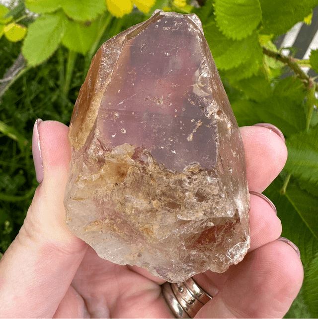 Dreamcoat Amethyst 