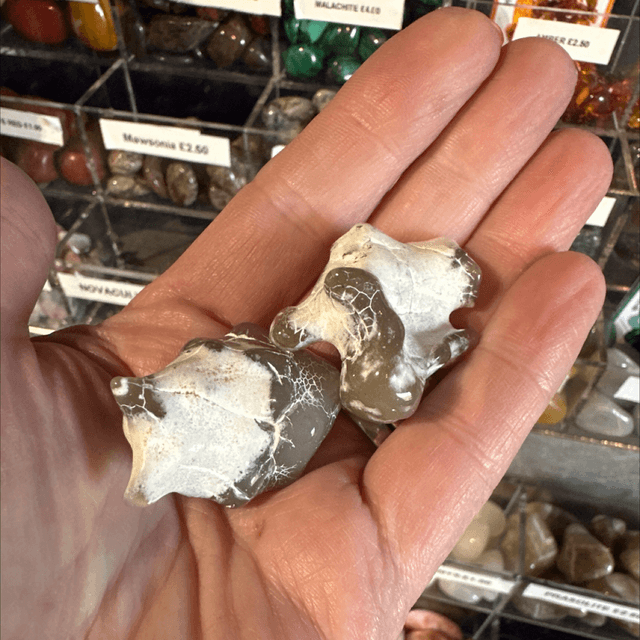 Snakeskin Agate XL