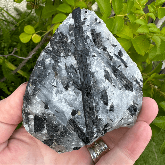Tourmalated Quartz  