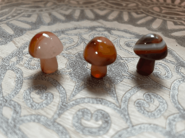 Carnelian Toadstool