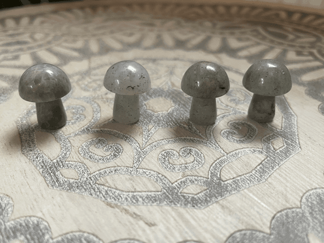 Mini Toadstool - Labradorite