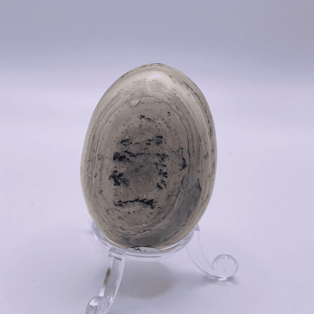 Dendrite Jasper Egg