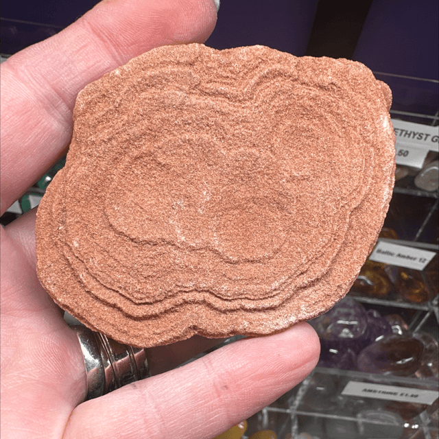 Stromatolite 