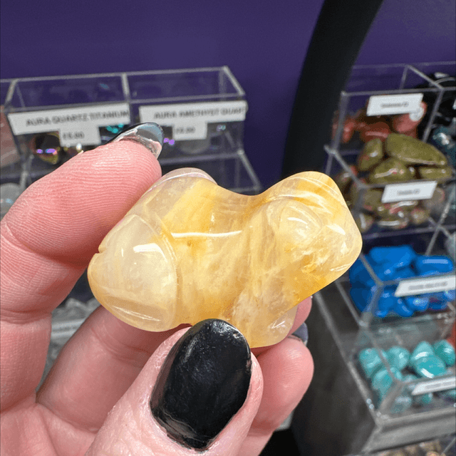 Golden Healer Frog 